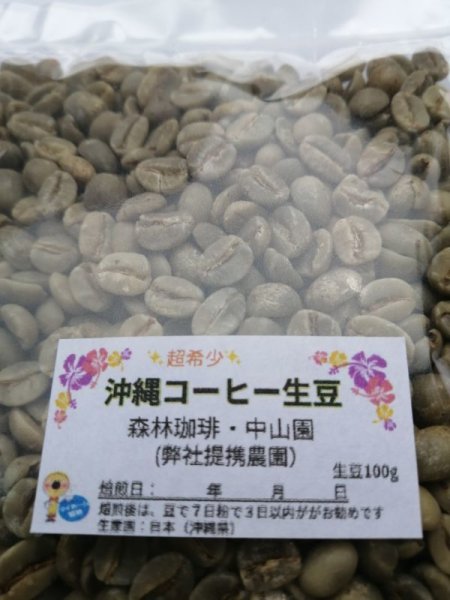 コスタリカ8kg＋パナマ２kg 生豆 コスタリカ8kg＋パナマ2kg 生豆 生豆 パナマ デボラ農園