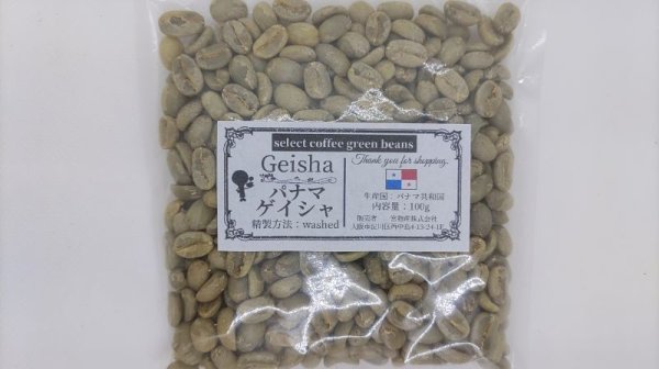 ゲイシャ（パナマ）【100g限定】 – Ecoserocoffee