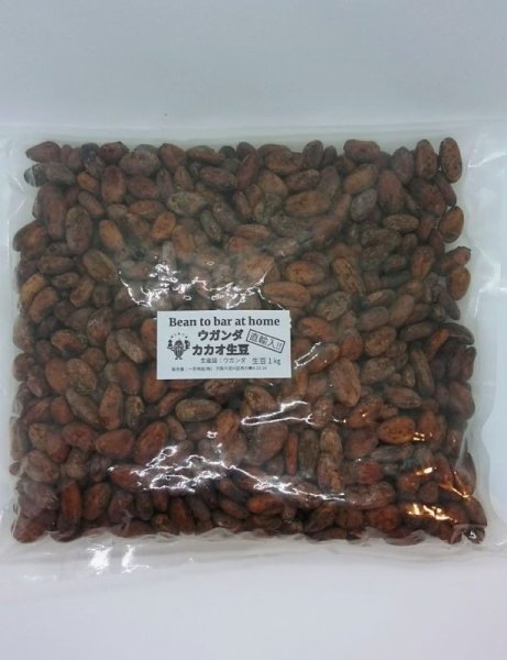 直輸入！ウガンダ産カカオ生豆（1kg お得価格） – Ecoserocoffee